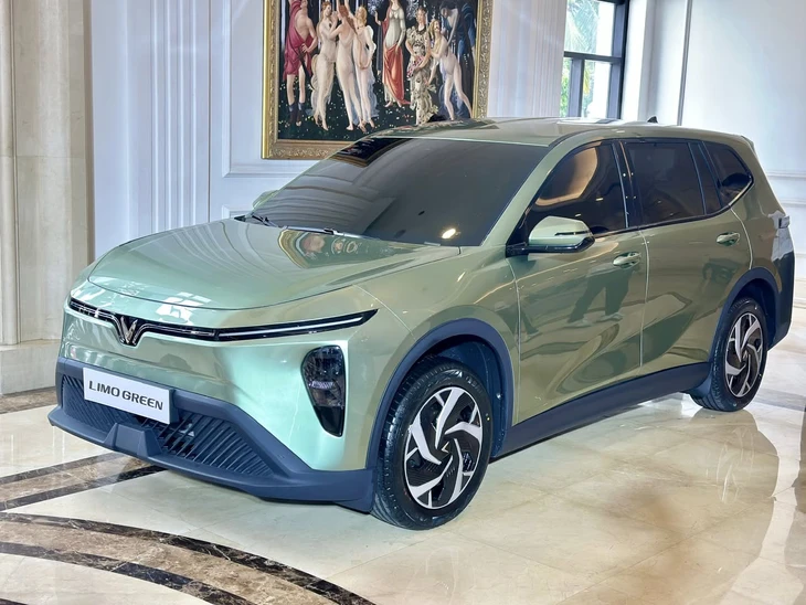 Pin xe điện limo green