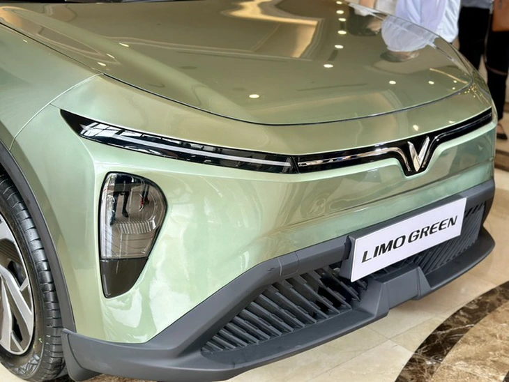 pin xe điện limo green